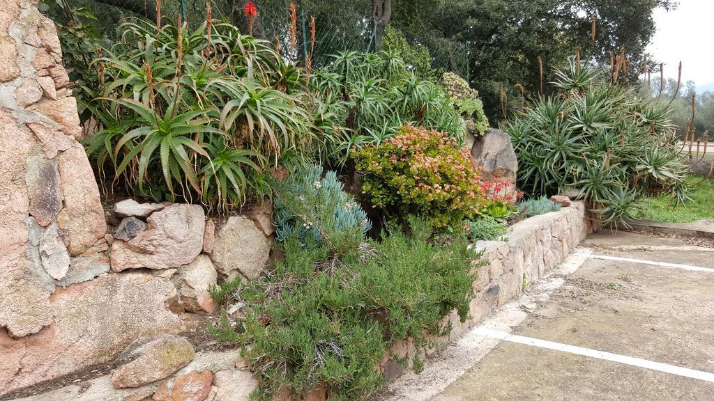 Corsica Hostel Porto-Vecchio, Partie Dortoirs Dış mekan fotoğraf